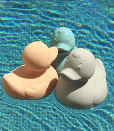 Petit Canard Elvis Gris