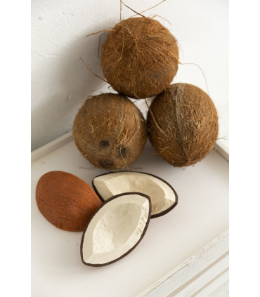 COCO THE COCONUT