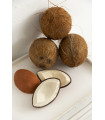 COCO THE COCONUT