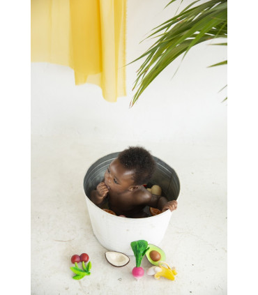 COCO THE COCONUT