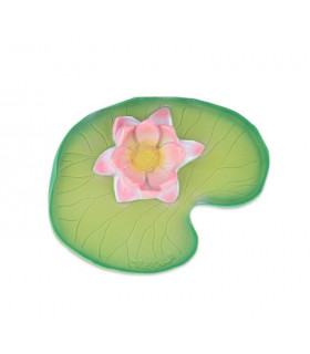 Water Lily