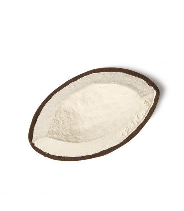 COCO THE COCONUT