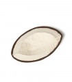 COCO THE COCONUT