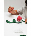 DIY Ana Banana & DIY Ramona the Radish Gift Pack