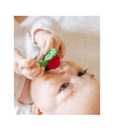 Ramonita the Radish
