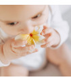 Flower Power Gift Pack