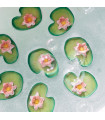 Flower Power Gift Pack