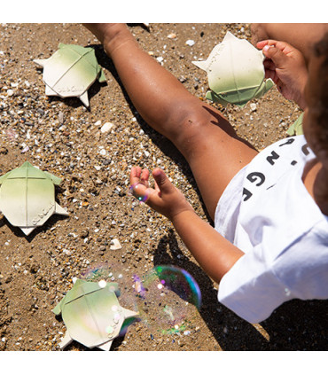 H2Origami Turtle