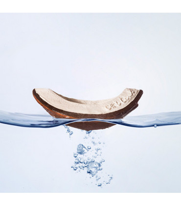 Coco the Coconut