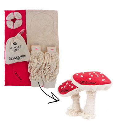 SPOT THE MUSHROOM DIY