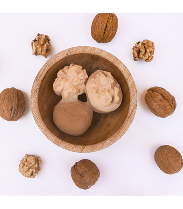 Nutty the Walnut