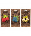 Nuts & Forest Fruits Gift Pack