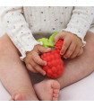 Nuts & Forest Fruits Gift Pack