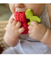 Valery the Raspberry