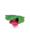 Ramonita the Radish