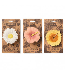Pack Regalo: Floral Bouquet