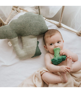 Cojín Brucy the Broccoli